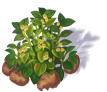 potato_3.png