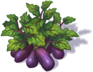 eggplant_3.png
