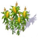 corn_3.png