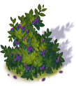 blackberry_3.png