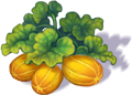 melon_4.png