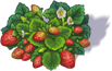 strawberry_3.png