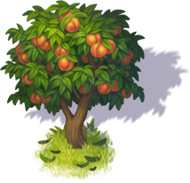 peach_tree_3.png