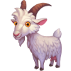 goat_adult.png