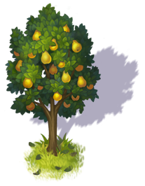 pear_tree_3.png
