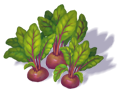 beet_3.png
