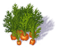 carrot_3.png