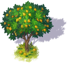 lemon_tree_3.png