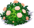 image__4_.png