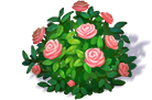 image__1_.png