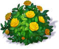 image__3_.png
